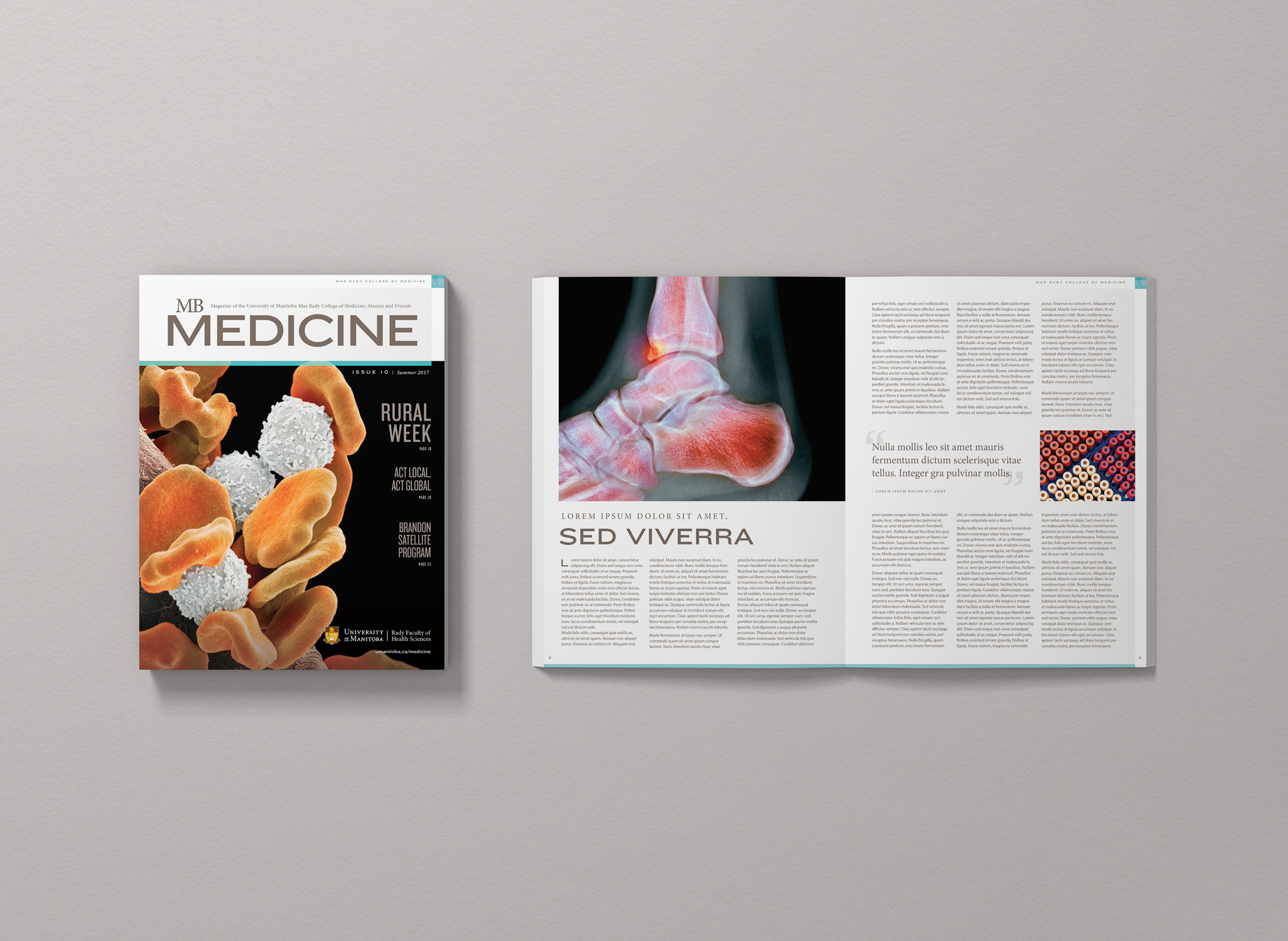 University of Manitoba Rady Faculty of Health Sciences – Visual Identity