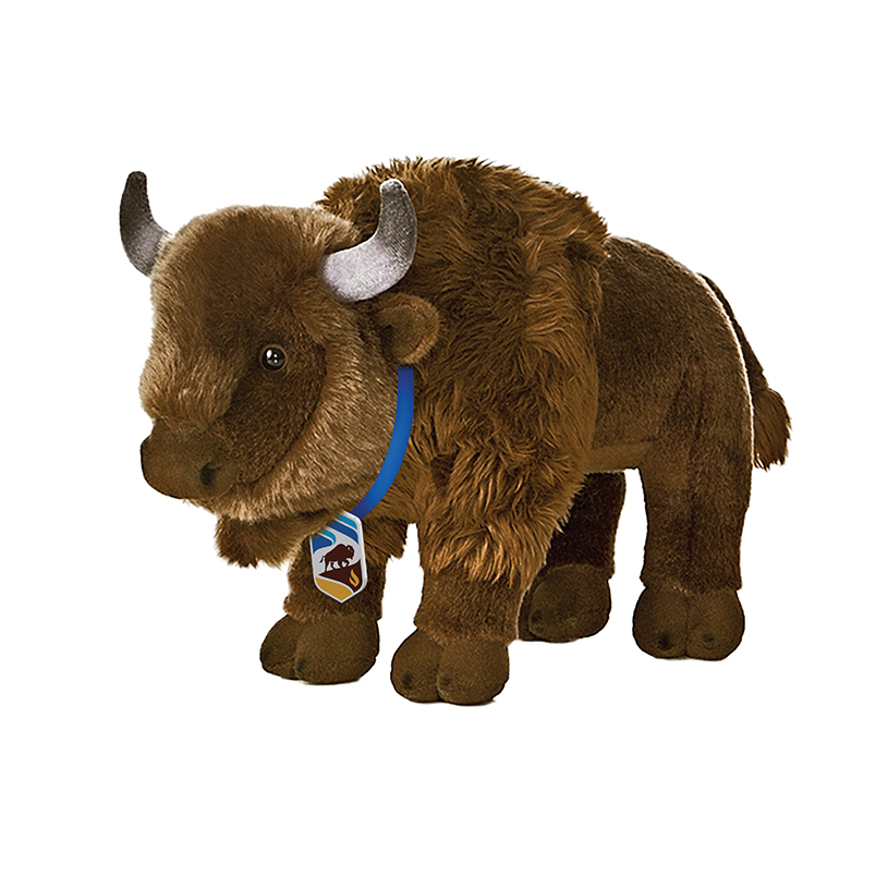 University of Manitoba – Visual Identity