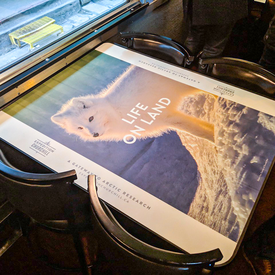 Expedition Churchill